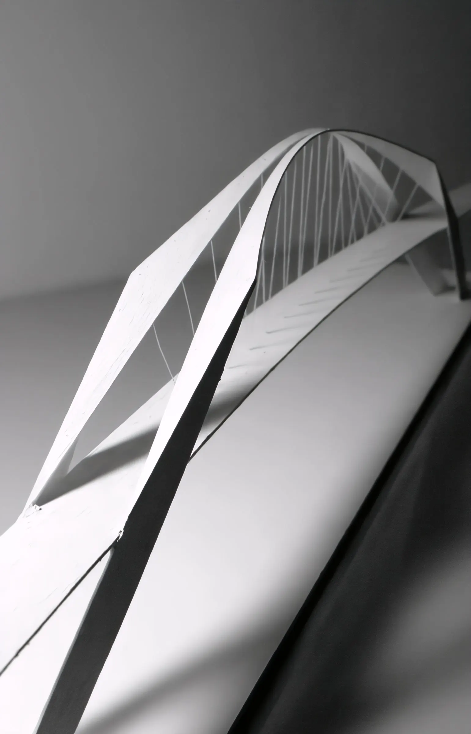 Bridge arch and cables in the model