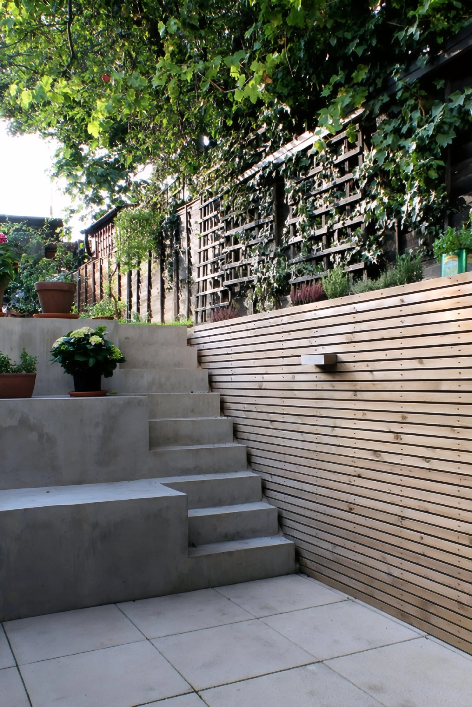Concrete steps and timber-clad garden walls connecting the levels